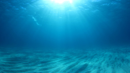 Underwater background photo in sea