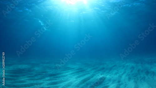Underwater background photo in sea