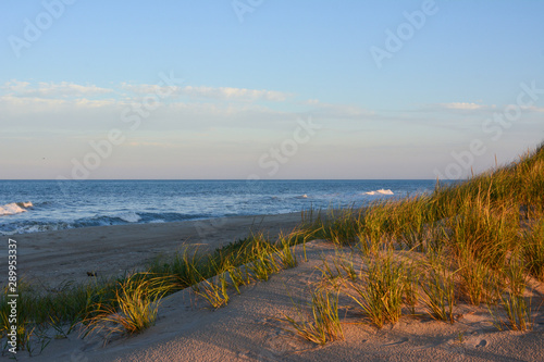 Late evening light over the sand dunes on the beach at Pea Island National Wildlife Refuge