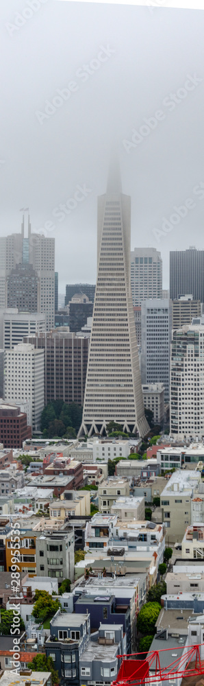 Fototapeta premium At the foot of Transamerica Pyramid