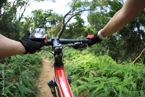 Cyclist using smart phone while riding bike on the rainforest trail