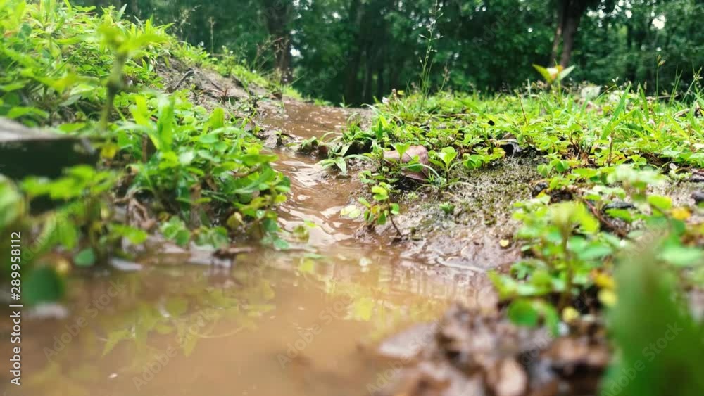 Flash flood formed after heavy rain. Handheld. Soft focus. Low POV Flash flood formed after heavy rain. Handheld. Soft focus. Low POV