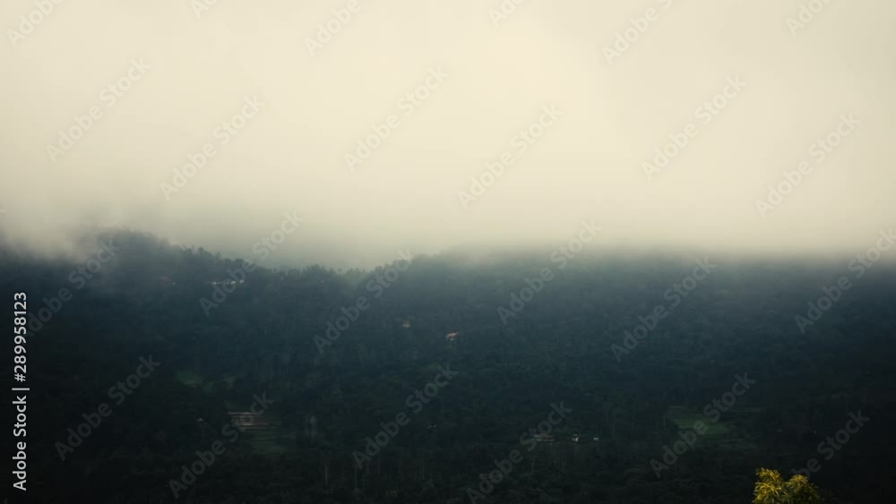 Countryside view on foggy day. Coorg, India. Static. Zoom in Countryside view on foggy day. Coorg, India. Static. Zoom in