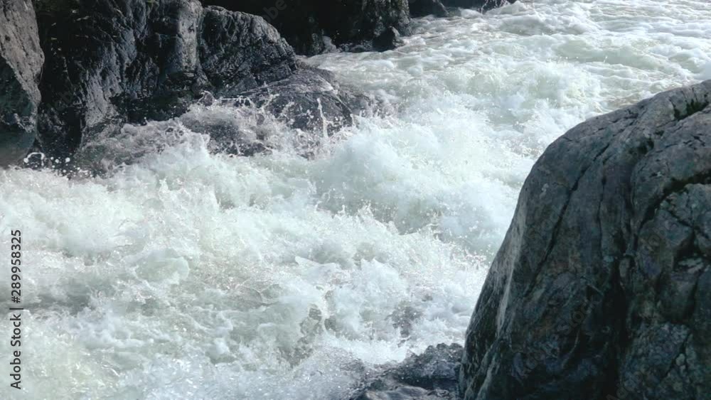 Small Atlantic Salmon peaks through foam in a river in Norway. Super slow motion. Small Atlantic Salmon peaks through foam in a river in Norway. Super slow motion.