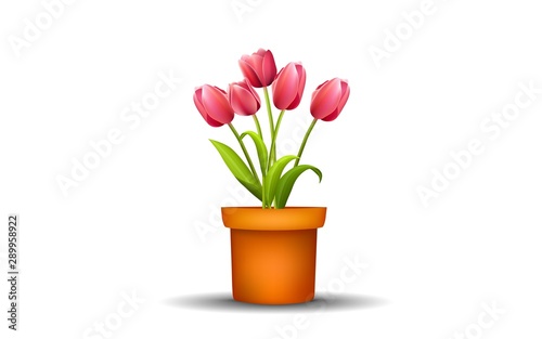 Wallpaper Mural red tulip in pot on the white background Torontodigital.ca
