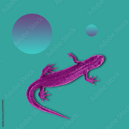 Collage of contemporary art. Tinted lizard on turquoise background. Color trend. Minimalism.