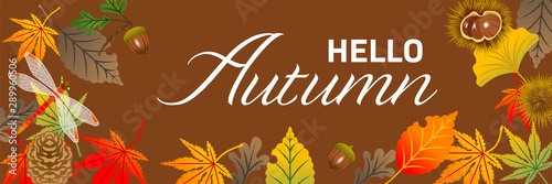 Autumn leaves frame, dragonfly and nuts - banner ratio, included words "Hello Autumn"