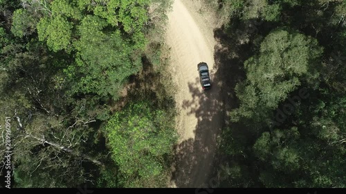Wallpaper Mural Aerial of a four wheel drive taking a turn on a path in a forest during an adventure camping road trip Torontodigital.ca
