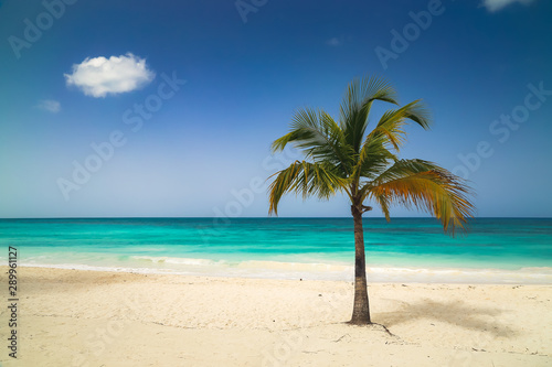 Fototapeta Naklejka Na Ścianę i Meble -  Sunny tropical exotic Caribbean paradise beach. 