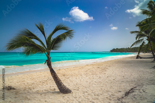 Fototapeta Naklejka Na Ścianę i Meble -  Sunny tropical exotic Caribbean paradise beach with white sand, azure water and palm tree branches over blue sky. 