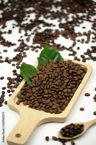 Roasted coffee beans and coffee leaf in wooden tray on coffee beans and white background.