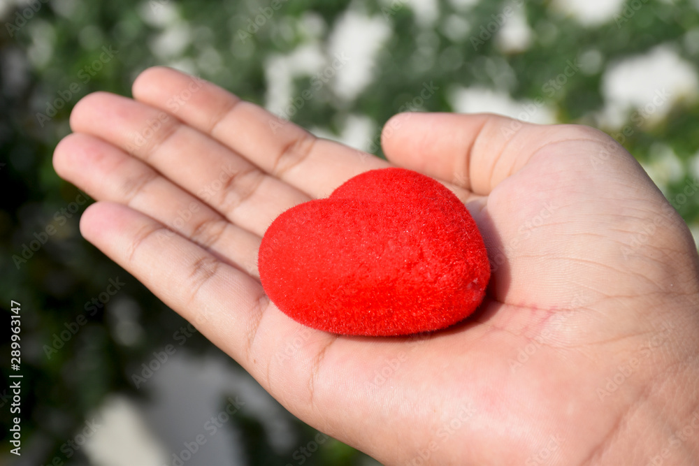 red heart in hand red heart in hand