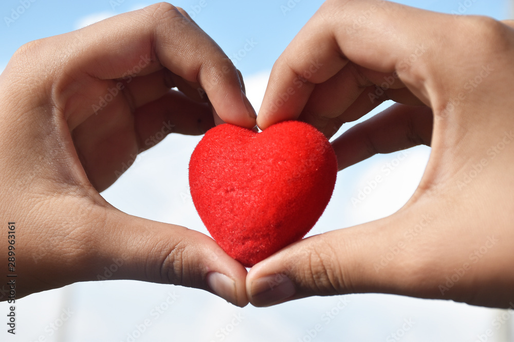 red heart in hands red heart in hands