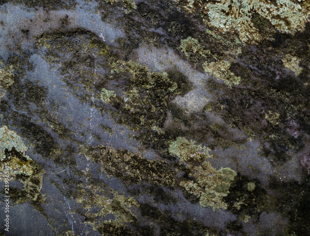 Texture of wet stone covered with moss. Background image of macro photography texture stone Texture of wet stone covered with moss. Background image of macro photography texture stone