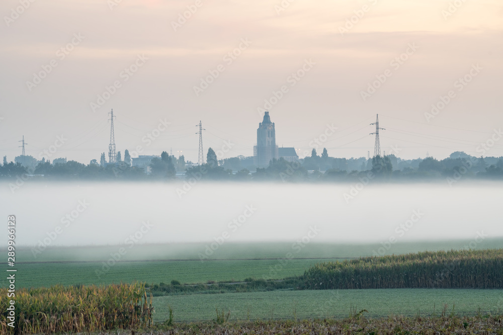 Fototapeta premium on an early beautiful morning