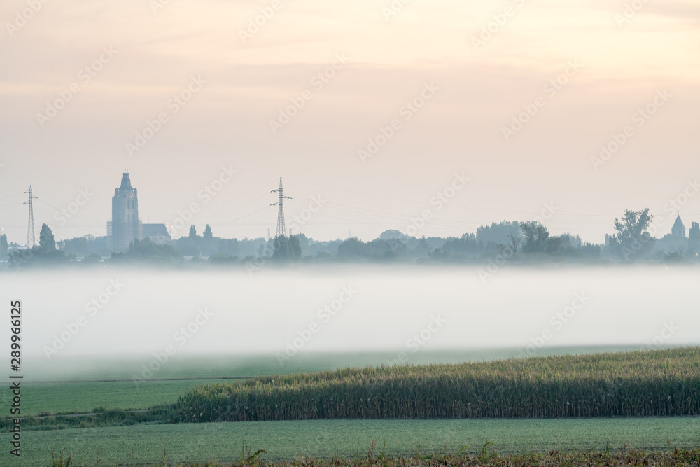 Fototapeta premium on an early beautiful morning