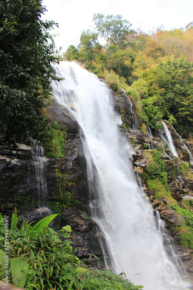 Fototapeta premium waterfall nature / travel in thailand