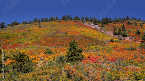 Beautiful autumn landscape in Colorado
