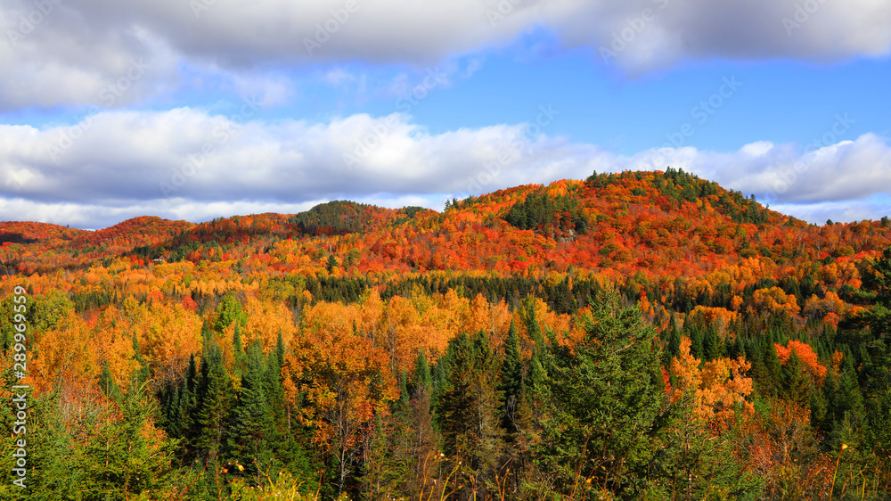 Scenic autumn landscape in Quebec during autumn time Scenic autumn landscape in Quebec during autumn time