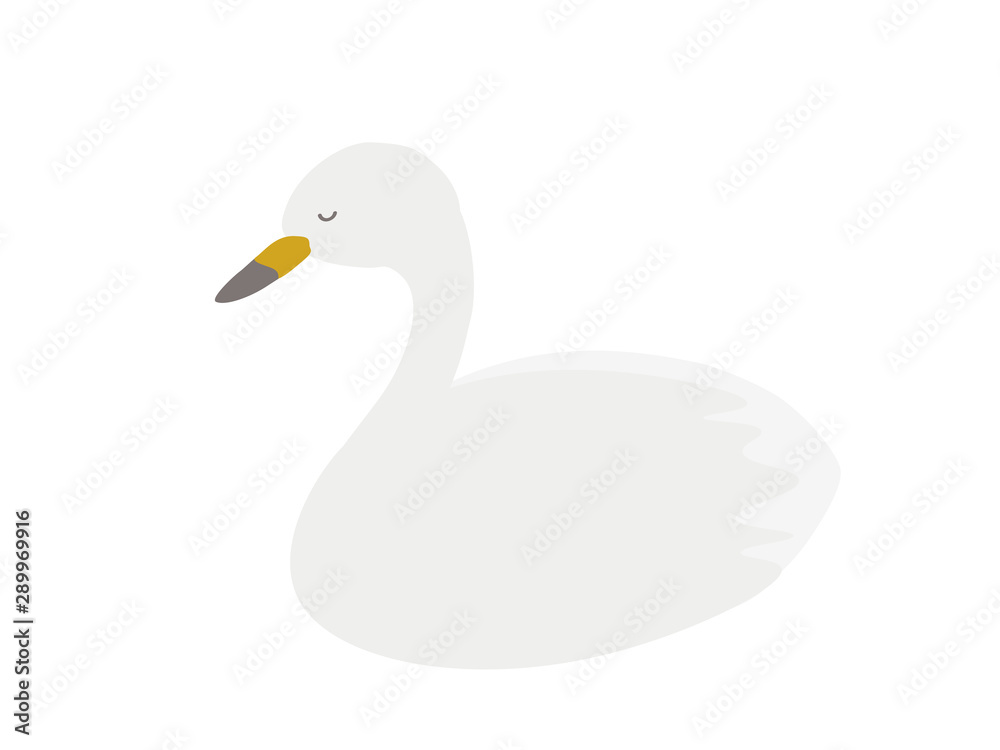 シンプルな白鳥おすまし顔