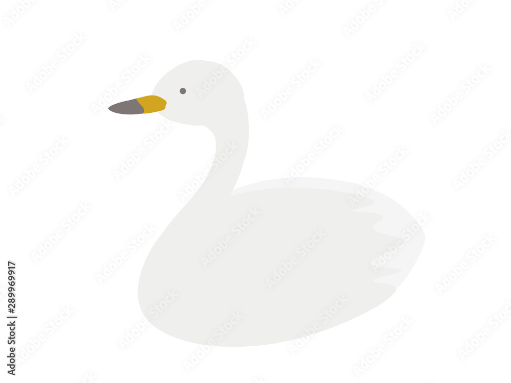 シンプルな白鳥 シンプルな白鳥