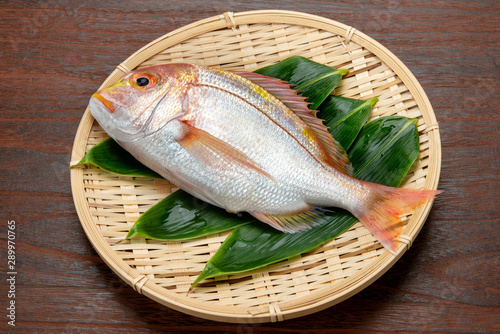 黄鯛