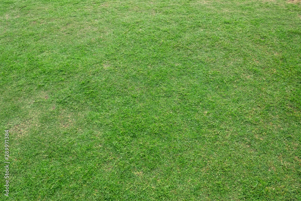 Green grass texture for background. Green lawn pattern and texture background. Green grass texture for background. Green lawn pattern and texture background.