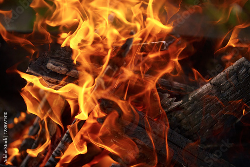 burning bonfire in nature. burning firewood.