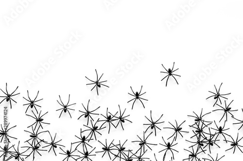 Minimalistic Halloween frame with small spiders on white background top view copy space