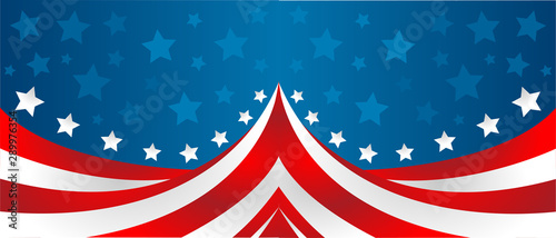 USA flag in style vector