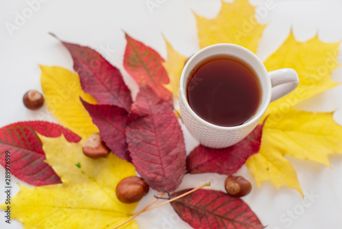 cosy autumn - cup of tea and autumn leaves
