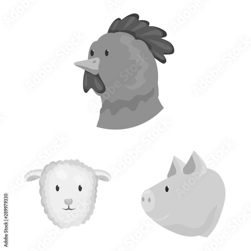 Vector illustration of countryside and homestead symbol. Collection of countryside and breeding stock vector illustration.