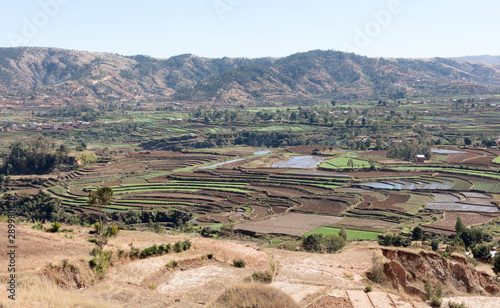 Agricultural fields in Madagascar