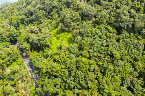 aerial view of road in forest at Sun Moon Lake