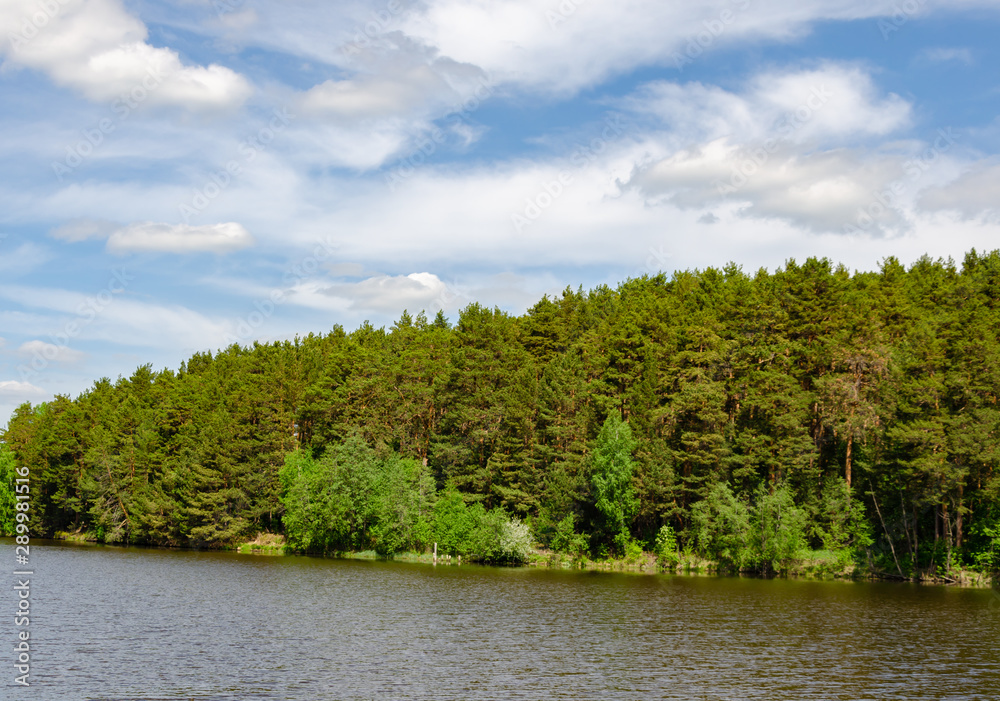 Lake surrounded by forest.