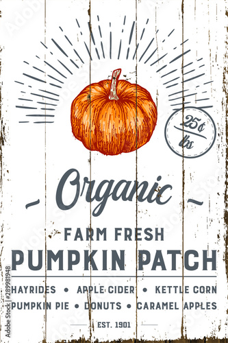 Organic Farm Fresh Pumpkin Patch with Shiplap Design