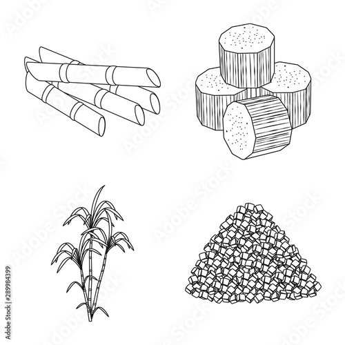 Vector illustration of sugar and field logo. Collection of sugar and plantation vector icon for stock.