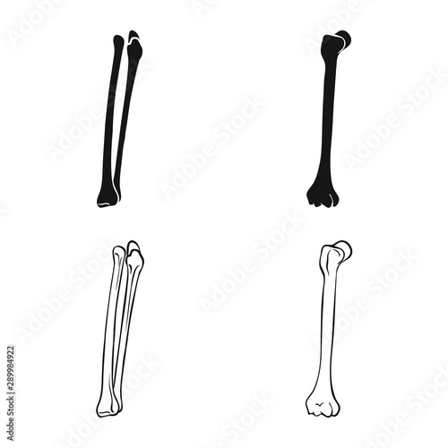 Isolated object of medicine and clinic sign. Set of medicine and medical vector icon for stock.