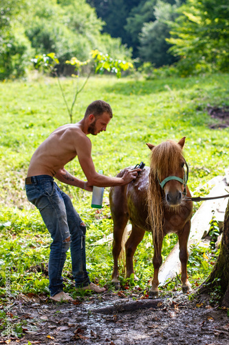 man with a naked torso washes horse pony