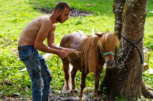 man with a naked torso washes horse pony