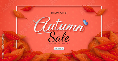 Autumn sales banner design with colorful seasonal fall leaves. and concept autumn advertising. for shopping discount promotion, frame leaflet or web banner. and used as illustration or background.