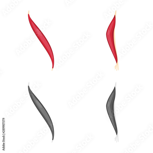 Vector design of fiber and muscular logo. Set of fiber and body vector icon for stock.
