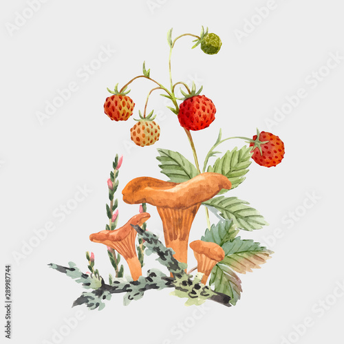 Watercolor forest mushroom vector composition
