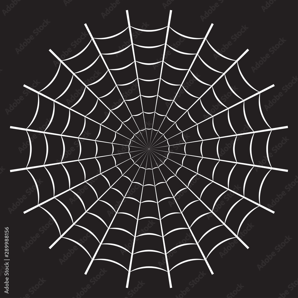 Fototapeta premium Spider web or cobweb. Halloween net background. Vector illustration.