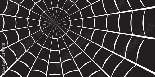 Spider web or cobweb. Halloween net background. Vector illustration.