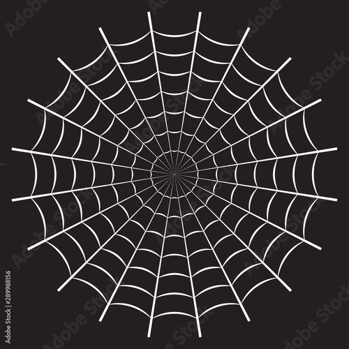 Spider web or cobweb. Halloween net background. Vector illustration.
