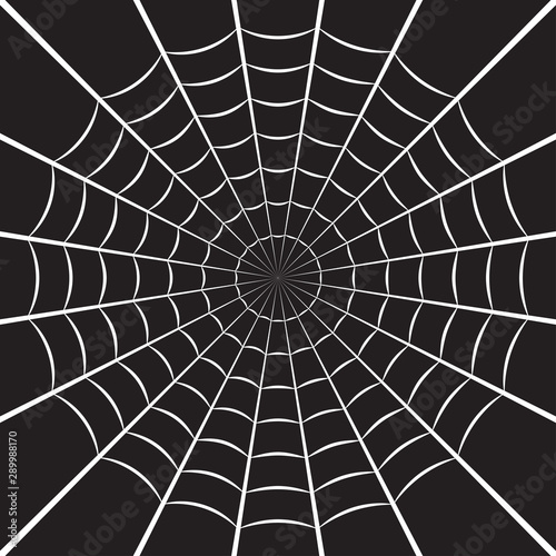 Spider web or cobweb. Halloween net background. Vector illustration.