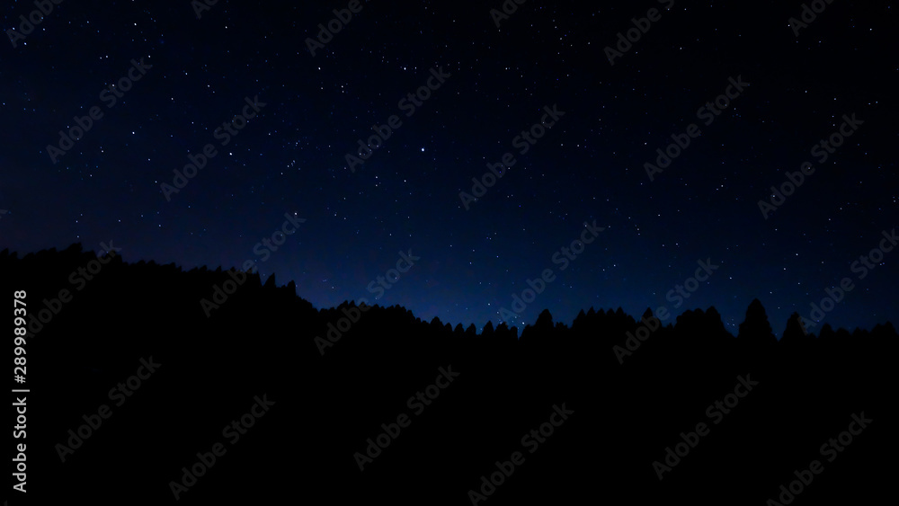 林の星景 林の星景