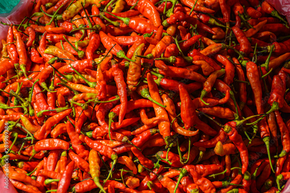 Fototapeta premium close up of red chili peppers