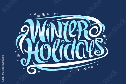 Vector greeting card for Winter Holidays, curly calligraphic typeface with white snowflakes and decorative elements, banner with swirly trendy lettering for words winter holidays on blue background.